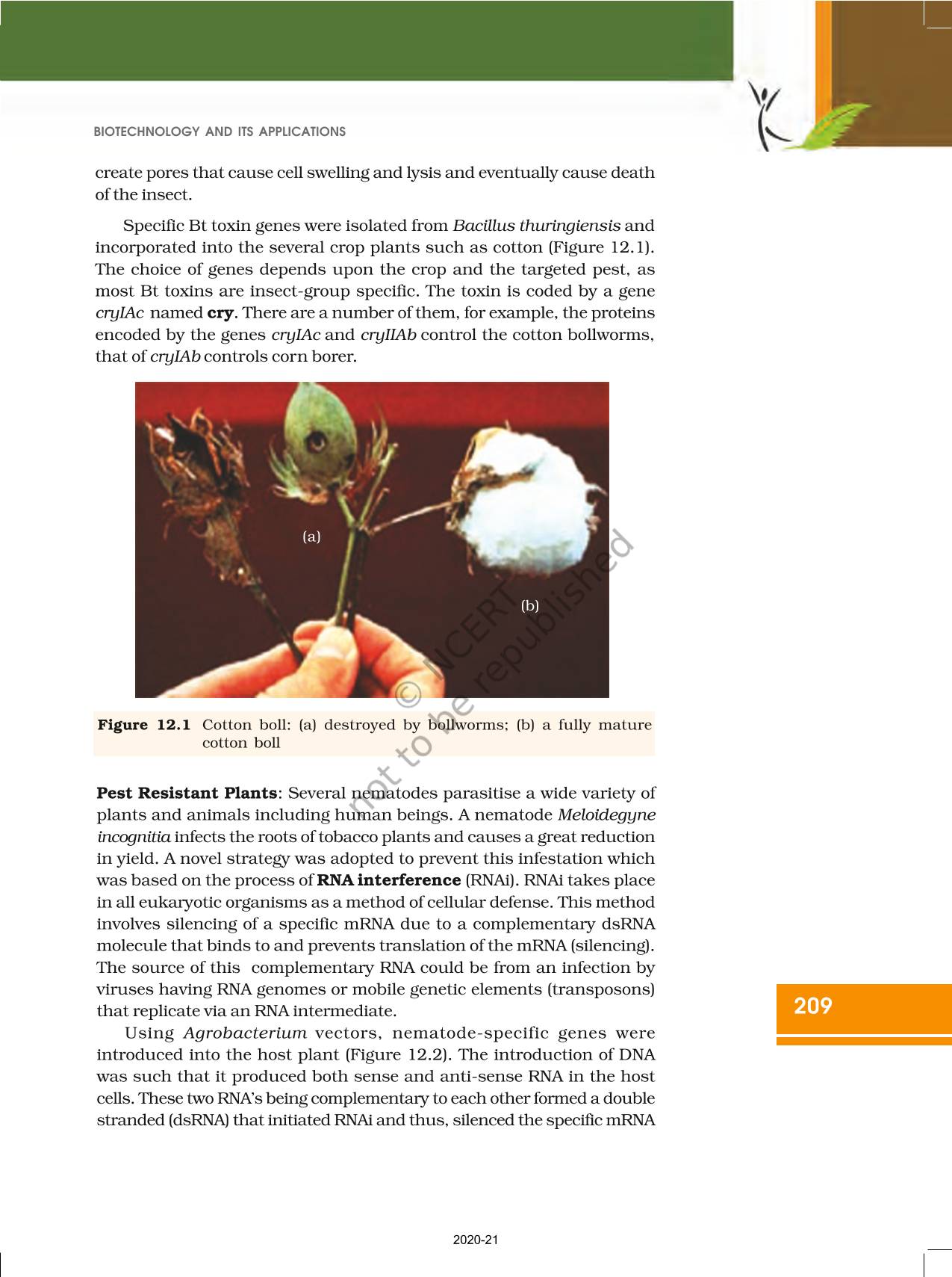 Biotechnology And Its Applications NCERT Book Of Class 12 Biology